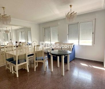 Piso en alquiler en Aspe - Photo 3