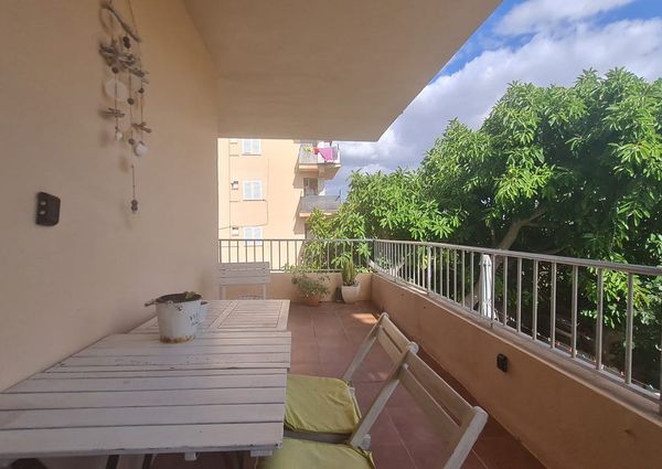 3 Carrer del Pingüí, Municipality of Palma, Balearic Islands 07610