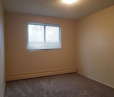 Quiet Suite Downtown – Great Location! (RP043) — Quiet, 2 Bedroom S... - Photo 4