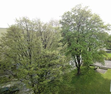 Beautiful and bright two-bedroom apartment - Photo 6