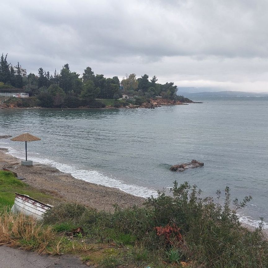 Διαμέρισμα για ενοικίαση Λευκαντί (Ληλάντιο) - Photo 2