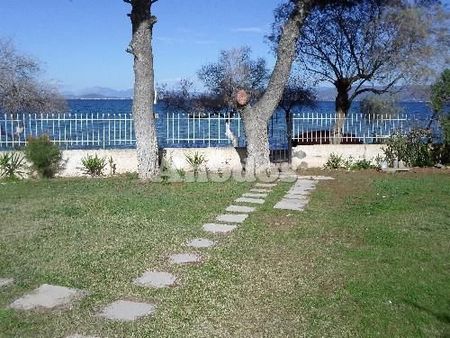 Διαμέρισμα για ενοικίαση Ωρωπός - Photo 4