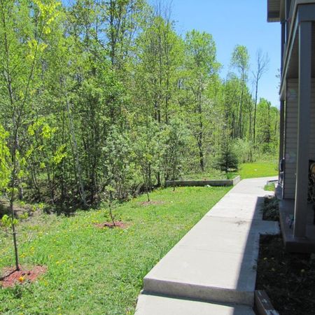 5 1/2 à louer près parc, école, rez-de-jardin - Photo 3