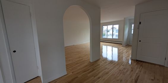 Grand 5 1/2 RÉNOVÉ St-Léonard - Photo 3