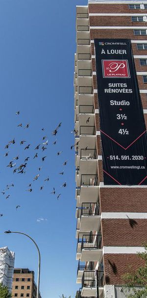 Le Plateau - 3605 St-Urbain - Studio - 3605 Rue Saint-Urbain, Montréal - Photo 1