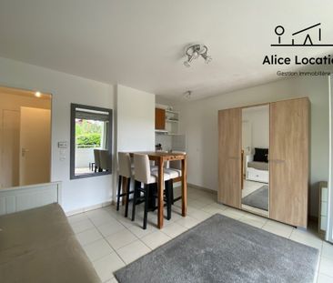 Location Appartement 1 pièce 24m² THONON LES BAINS 74200 - Photo 3