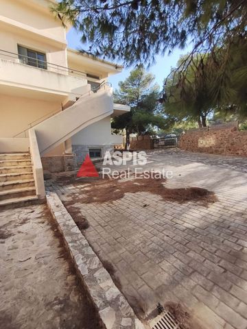Διαμέρισμα για ενοικίαση Κάτω Ποσειδωνία (Λαύριο) - Photo 3