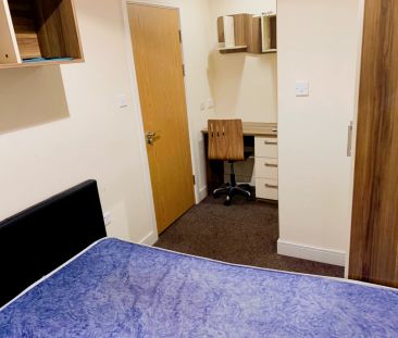 8 Bedroom 8 Bathroom - Photo 5