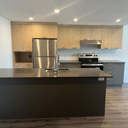 1 CH - 1 SDB - Terrebonne - $1,775 /mo - Photo 4