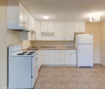 1 Bedroom - Photo 2