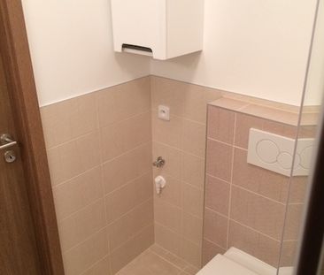 Pronájem bytu 1+kk, garsoniery 30 m², Hradec Králové - Fotografie 2