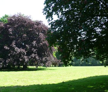 Einzug ab 01.06.2026 möglich. 3-Raumwohnung im 1.OG - Photo 2