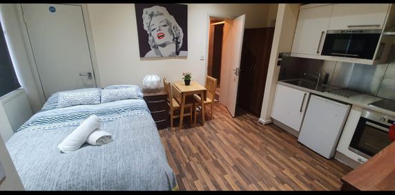 Studio Flat, Brondesbury Park/ Willesden Green, NW6 - Photo 2