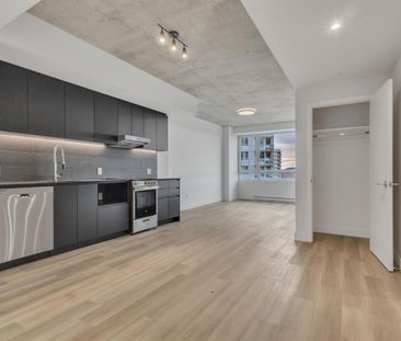 2 Bedroom - 5100 Boulevard De L'Assomption, Montréal - Est - Photo 3