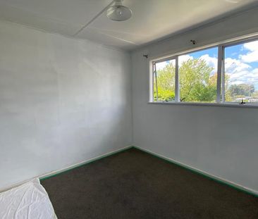 Charming 3 Bedroom Home in Te Puke - Photo 4