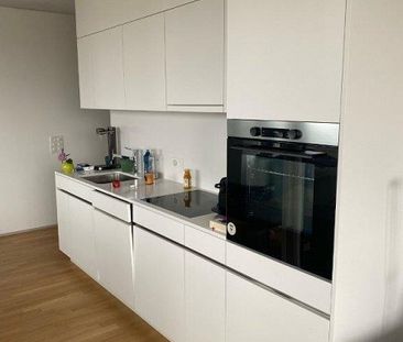 über den Dächern von Zürich - Photo 2