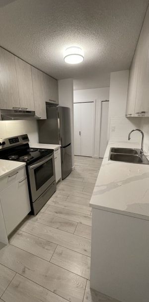 Blueridge Apartments - Photo 1