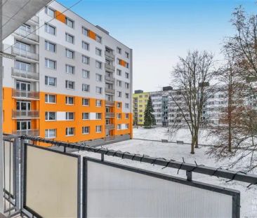 Avízo krásného pronájmu, Vánoce 2026 v novém - Fotografie 3