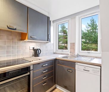 10/14 Gayfield Street - Photo 2