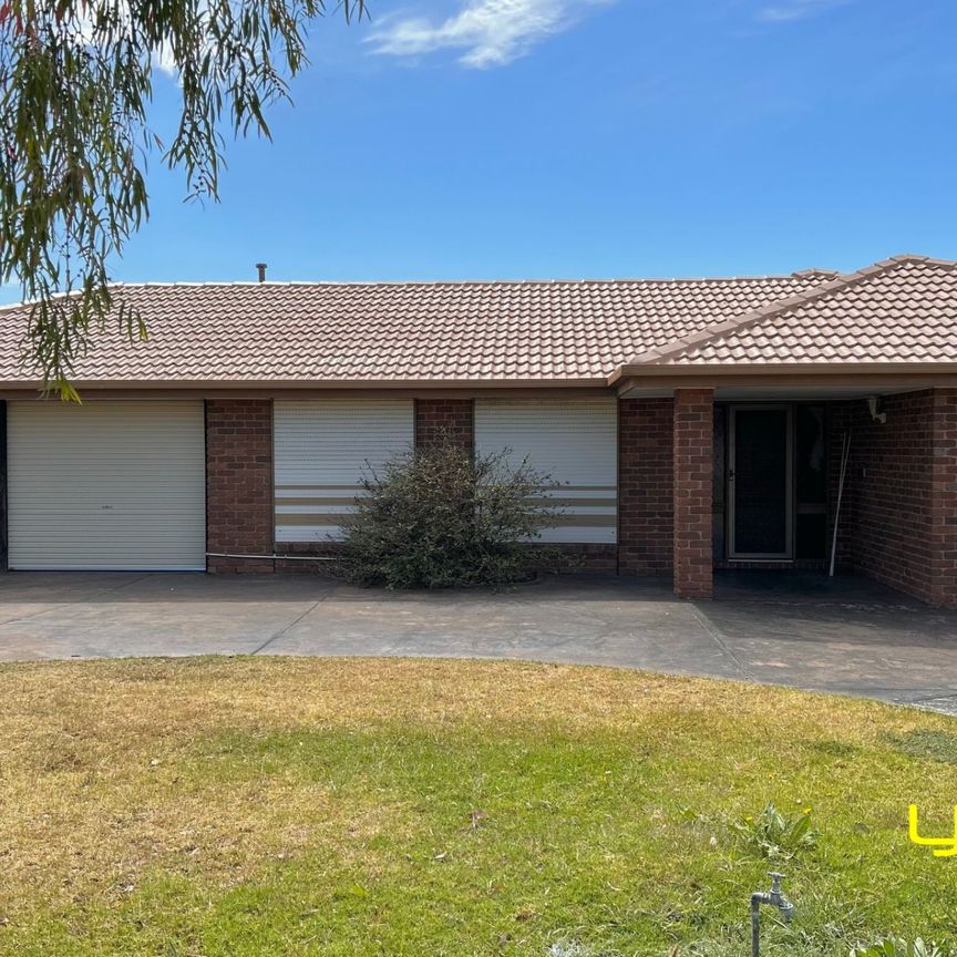 6 Beaumont Court, SYDENHAM - Photo 1