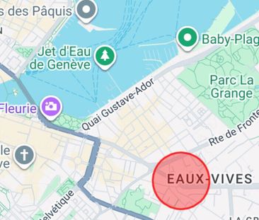 Beautiful 4P with balcony – Eaux-Vives - Foto 1