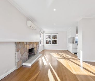 1950's cool in Newstead! - Photo 2