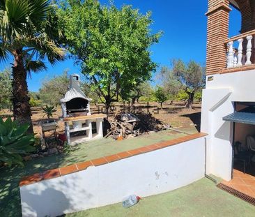 Alquiler de casa o chalet independiente en Camino Las Chafarinas - Photo 1