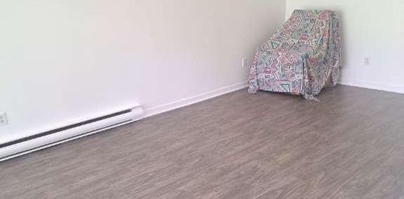 4 1/2 Lévis centre-ville UQAR- CFP lévis - Photo 2