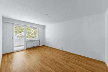 Ein gemütliches Zuhause für Paare oder Singles - Foto 5