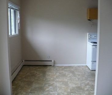 Pet Friendly 2 Bedroom Unit with In-Suite Laundry!! - Photo 3