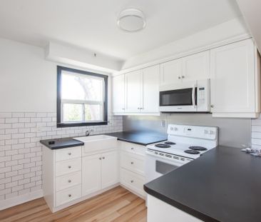 8 West Lynn St, St. Catharines - All Inclusive 2 Bedroom Main Unit - Photo 6