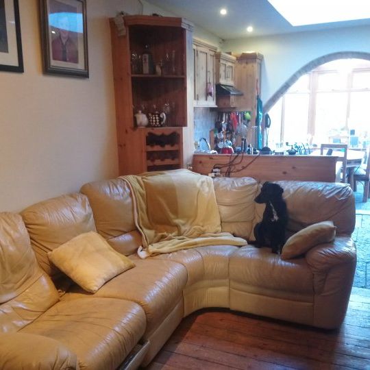 Double Bedroom for rent in 4-Bedroom House in Clontarf - Photo 1