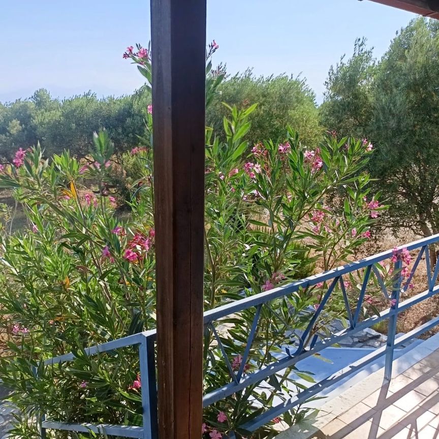 Μονοκατοικία για ενοικίαση - Επανομή, - Φωτογραφία 1
