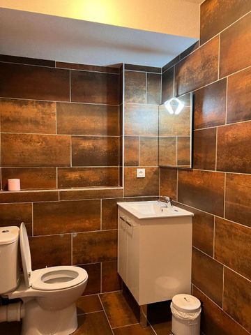 Location Appartement 1 pièce 28m² ALBI 81000 - Photo 5