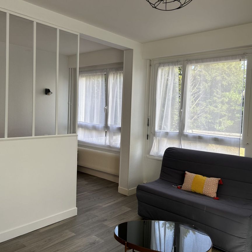 Reims beau type 1 meublé - Photo 1