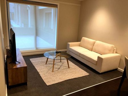 Fully Furnished Apartment in beautiful Antipodean - Photo 3