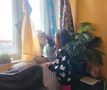 Gemütliche 3-Zimmer-Wohnung mit 2 Katzen - Photo 2