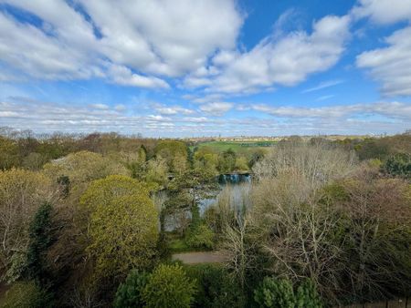 Studio to rent - Photo 4