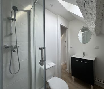 Location Appartement 1 pièce 15m² ORLEANS 45000 - Photo 4