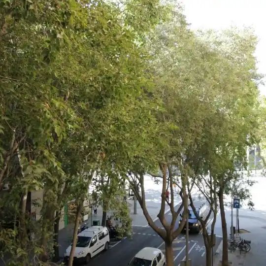 Barcelona - Foto 1