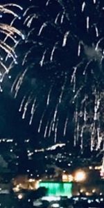 3 1/2 + bureau (chambre invitée) Fin juin , Lévis centre-ville - Photo 3