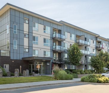 PARALLEL TWO APTS - 102 - P2-102 - Photo 3