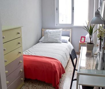 Carrer del Doctor Vicente Pallarés, Valencia, Valencian Community 4... - Photo 3