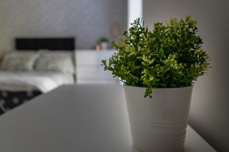 1 bedroom property to rent Tyrwhitt Road, Lewisham, London, SE4 - Photo 2