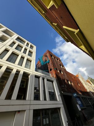 Vieux-Lille meublé haut de gamme - Photo 1