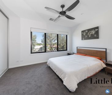 13b Negus Crescent, Watson ACT 2602 - Townhouse For Rent | Domain - Photo 3