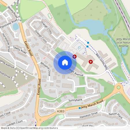 Orleigh Avenue, Newton Abbot, TQ12