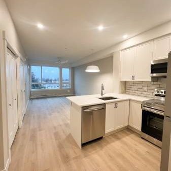 $1,575 / 1br - 549ft2 - New, Cat-Friendly 1 Bedroom Apartment - Photo 3