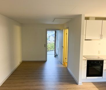 Hyggeligt 1-værelses rækkehus med egen have - Photo 4