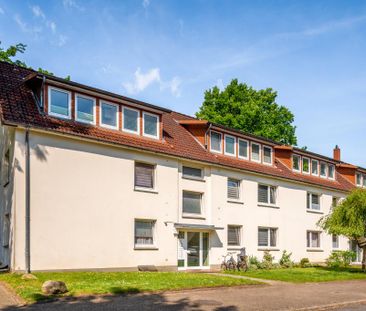 Demnächst frei! 2-Zimmer-Wohnung in Zeven - Photo 1